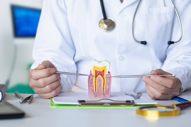 Best Emergency Root Canal Treatment in North Granby, CT